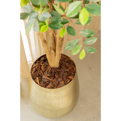 Ficus Kunstplant 180cm