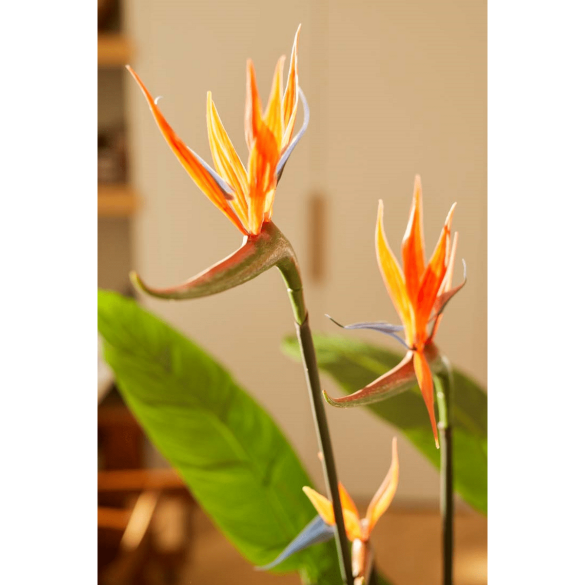 Strelitzia Kunstplant 120cm met bloem