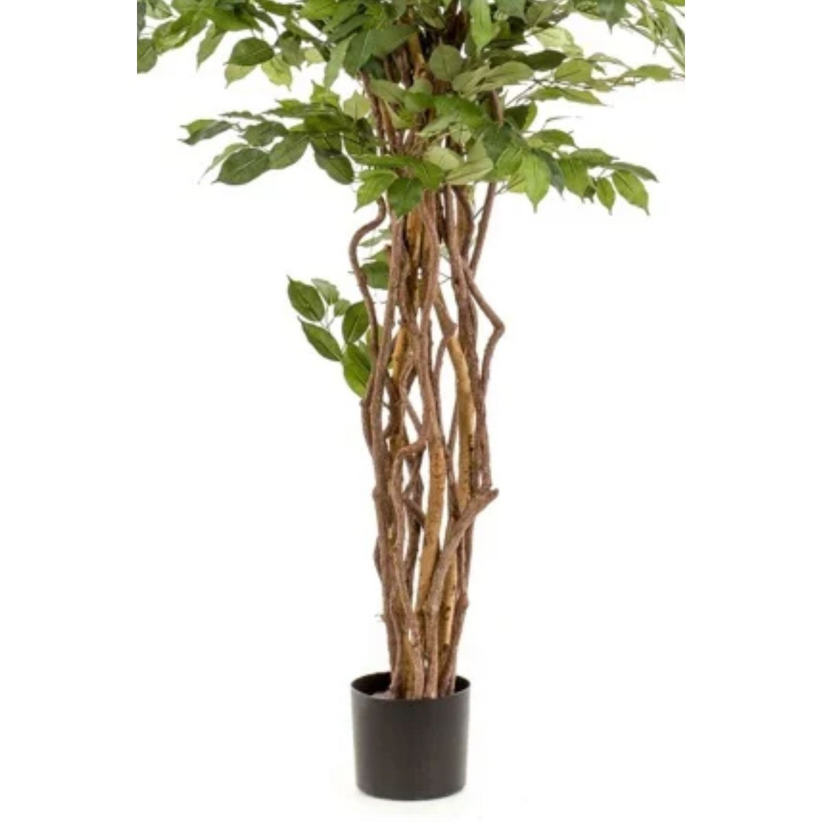 Ficus Liana Kunstboom 170cm