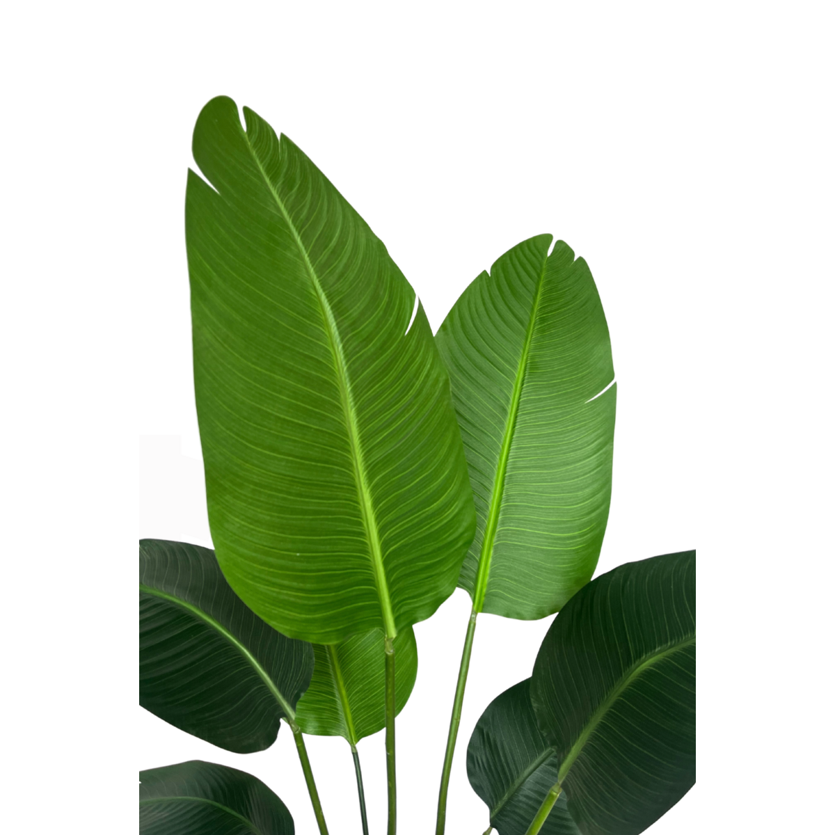 Strelitzia Kunstplant 120cm
