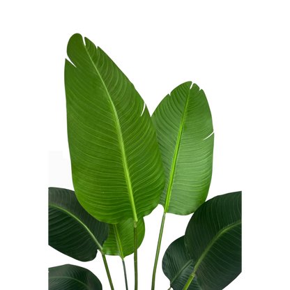 Strelitzia Kunstplant 120cm