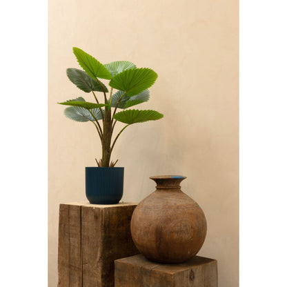 Kunst Waaierpalm 75cm