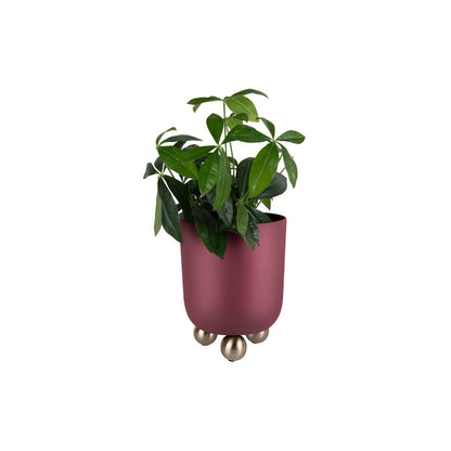 Plantenpot groot