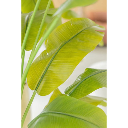 Strelitzia Kunstplant 165cm