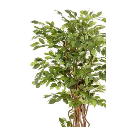 Ficus Liana Kunstboom 170cm