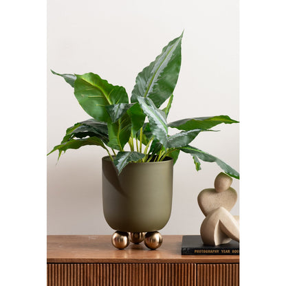 Plantpot medium