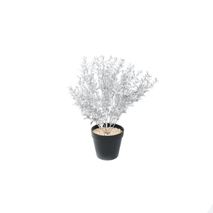 HV Zilverplant met zwarte pot - Polystyreen