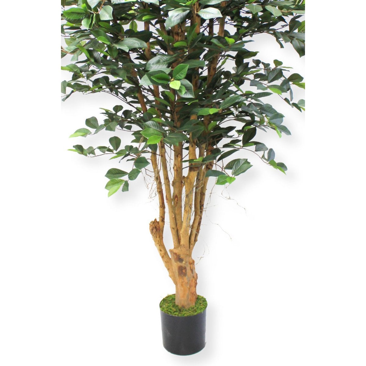 Ficus Kunstplant 180cm