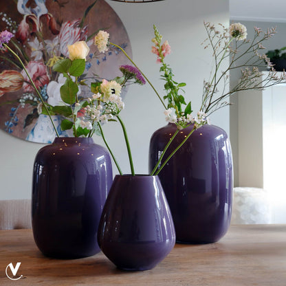 Vaas - Tasman S purple