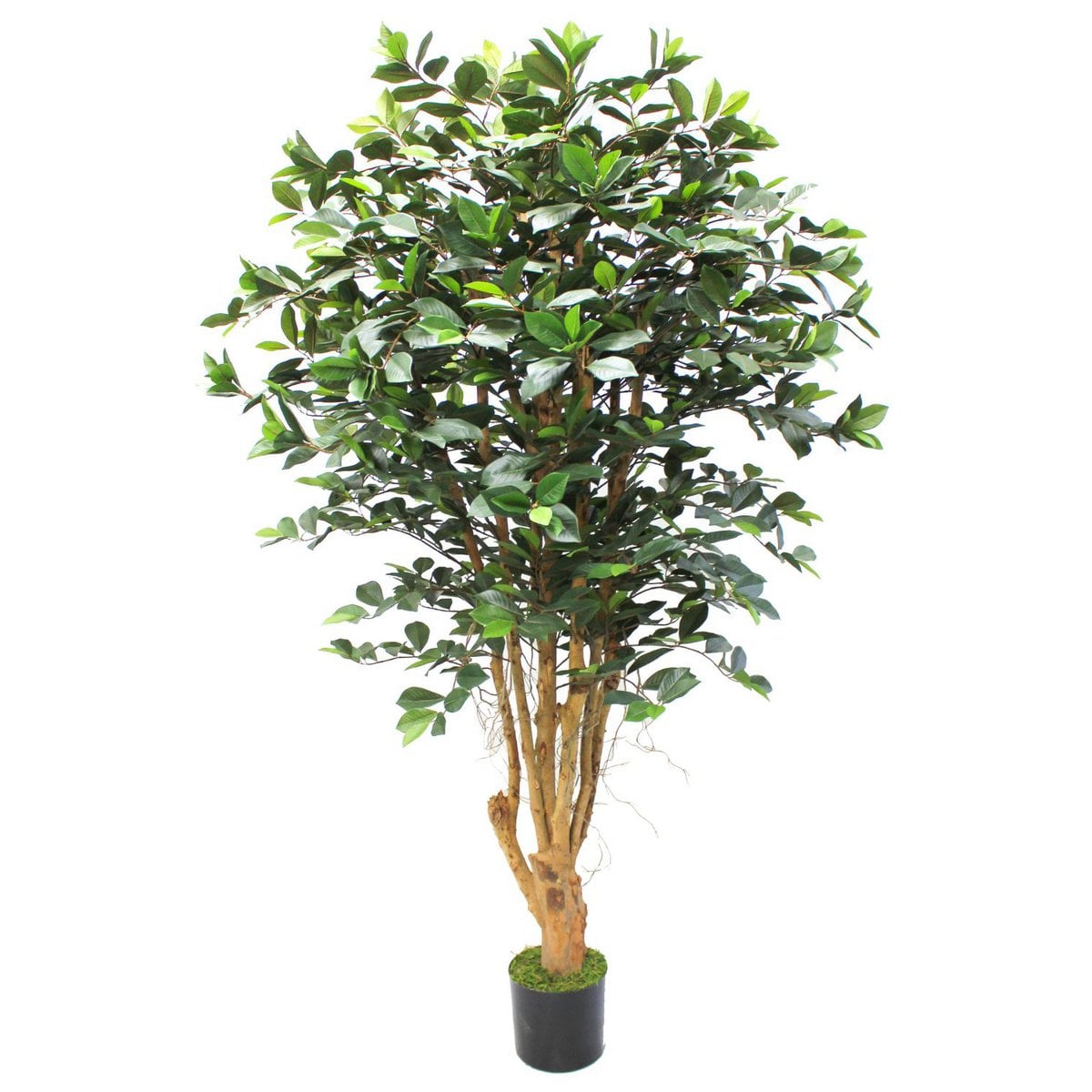 Ficus Kunstplant 180cm