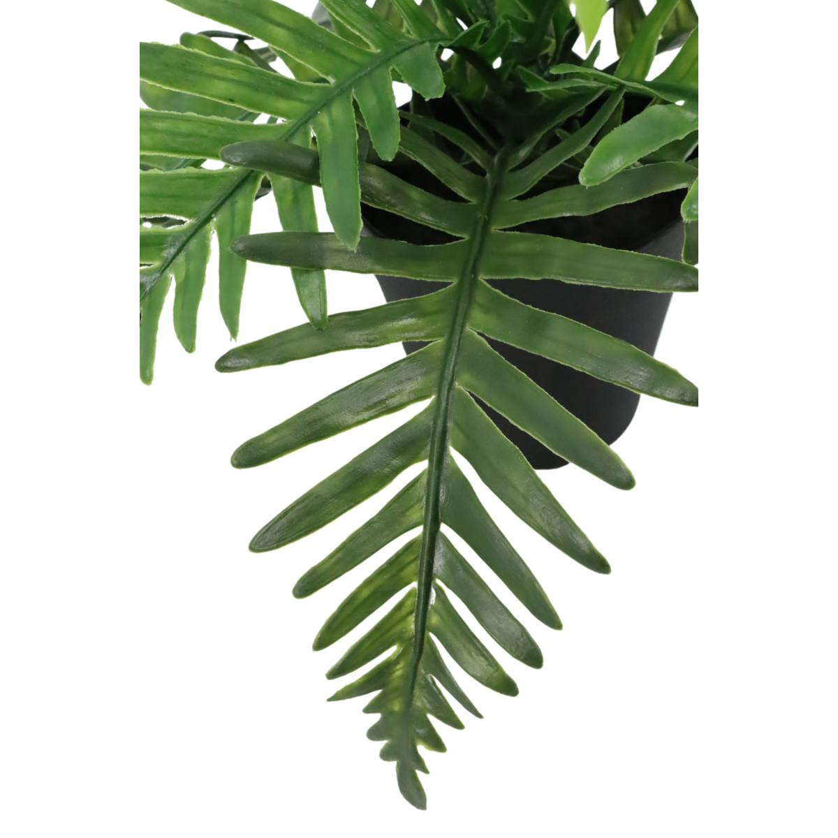 Pteris Kunstplant 20cm