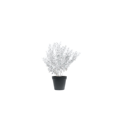 HV Zilverplant met zwarte pot - Polystyreen