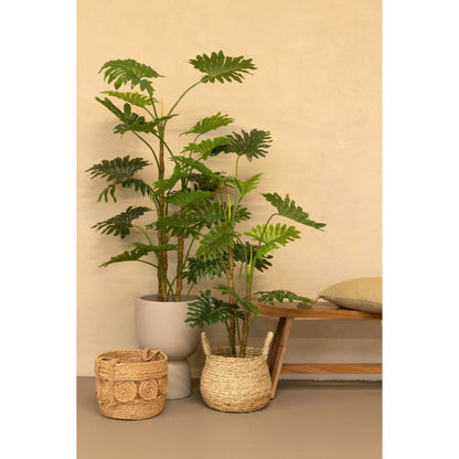 Philodendron Kunstplant 160cm