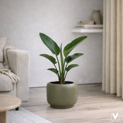 Plantenpot - Phuket pebble grey