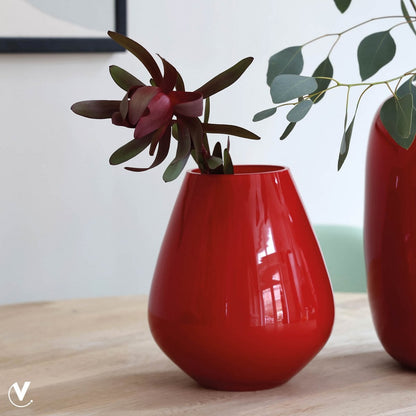 Vaas - Tasman S bright red