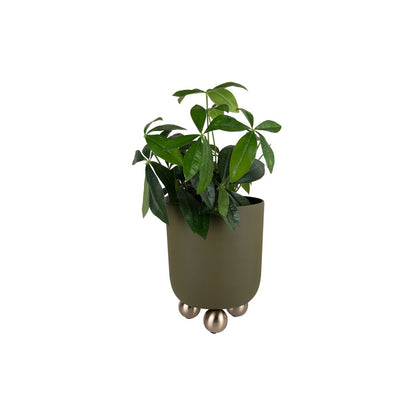 Plantenpot groot