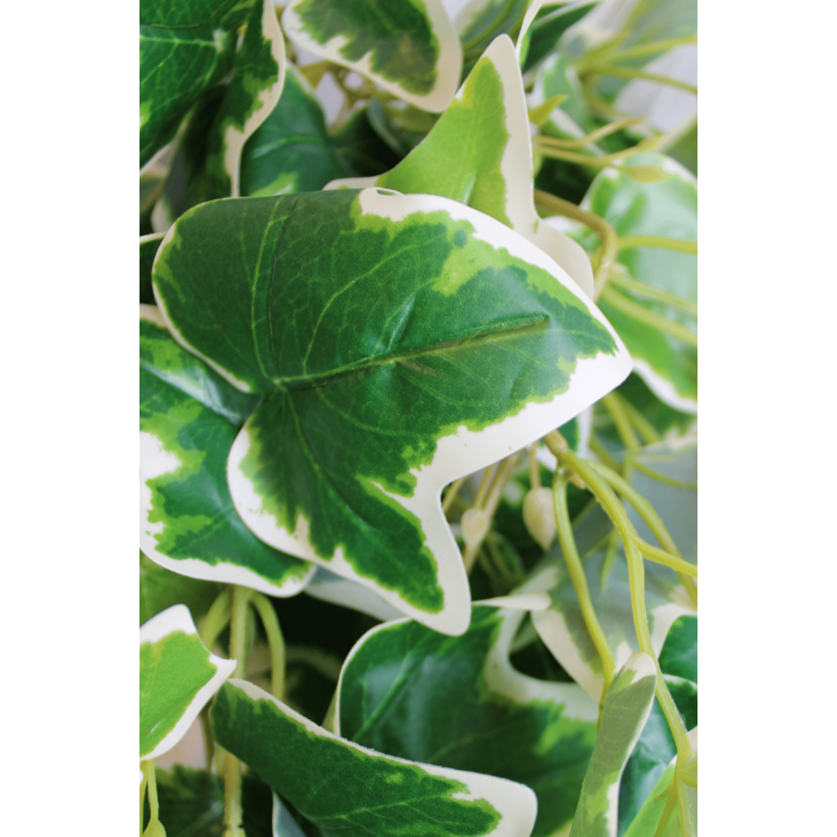 Hedera Star Kunst Hangplant 110cm