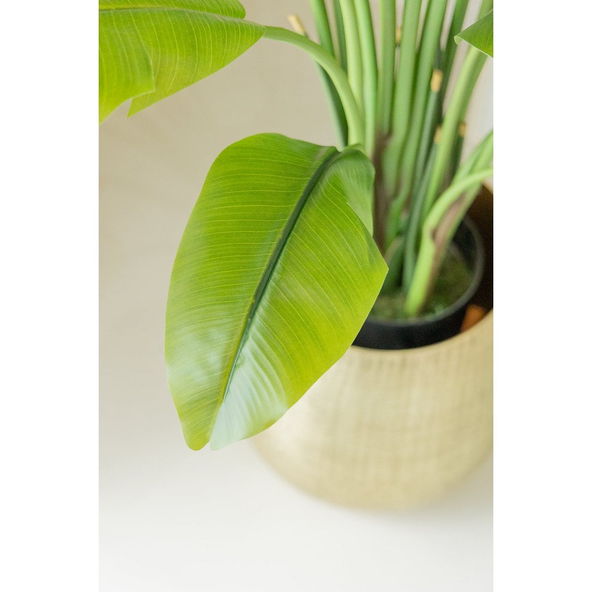 Strelitzia Kunstplant 210cm
